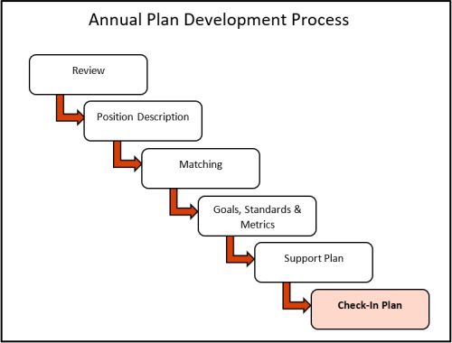 Visual of Annual Review Steps